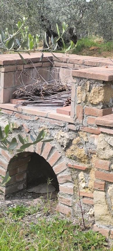 Agriturismo Il Poggio カザーレ・マリッティモ エクステリア 写真