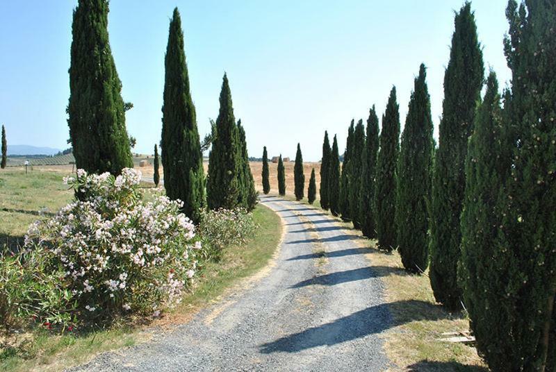 Agriturismo Il Poggio カザーレ・マリッティモ エクステリア 写真